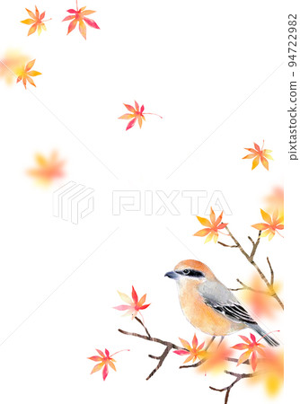 Autumn leaves and shrike background material watercolor illustration 94722982