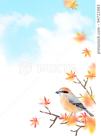 Autumn leaves and shrike background material watercolor illustration 94722983