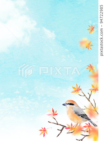 秋葉和伯勞背景材料水彩插圖 94722985