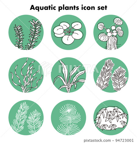 Aquatic plant icon set Aquarium tank biotope 94723001