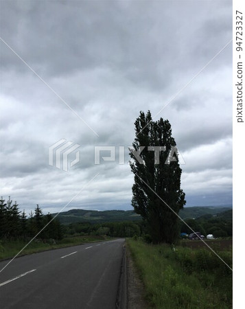  肯和瑪麗的樹 94723327