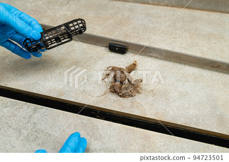 Woman removing hair clump from the shower drain. 94723501