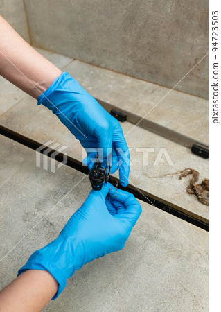 Woman removing hair clump from the shower drain. Woman removing hair clump from the shower drain. 94723503