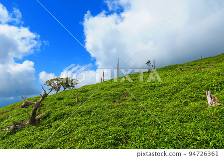 Masakigahara,有云彩和藍天的Higashidaidai Masakigahara,有云彩和藍天的Higashidaidai 94726361