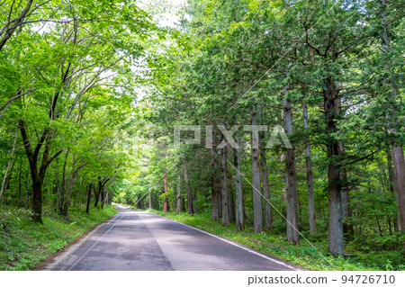 Adatara Kogen Resort 森林浴 94726710