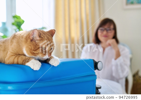 Sad ginger cat lying on suitcase of owner middle-aged woman Sad ginger cat lying on suitcase of owner middle-aged woman 94726995