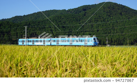 Ear of rice and Ohmi Railway Ear of rice and Ohmi Railway 94727867