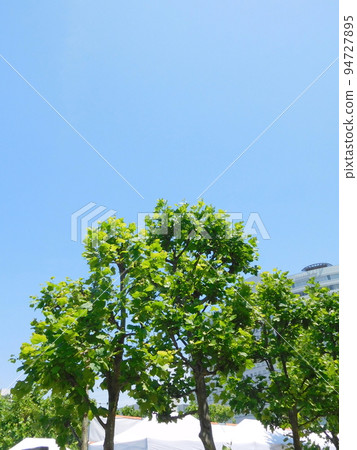 Suzuki kenoki 94727895