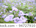 Purple flower 94727910