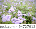 Purple flower 94727912