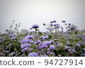 Purple flower garden 94727914