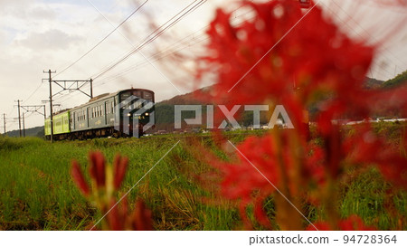 集群阿瑪麗利斯和奧米鐵路 94728364