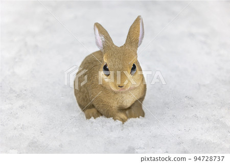 雪地上的兔子(人偶) 雪地上的兔子(人偶) 94728737