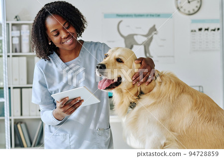 African young vet using digital tablet while communicating with dog at office African young vet using digital tablet while communicating with dog at office 94728859