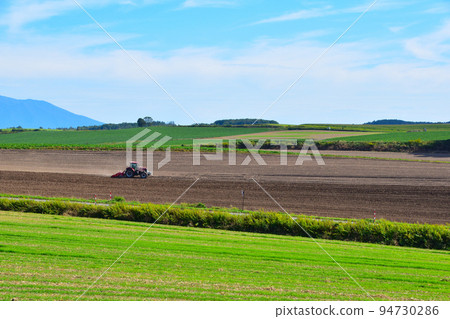 Farming Biei Town 94730286