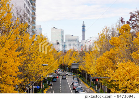 秋天的橫濱山下公園大道銀杏樹（神奈川縣橫濱市） 94730943