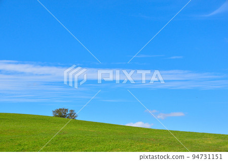 Hill Town Biei Town Hill Town Biei Town 94731151