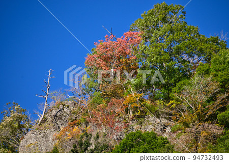 A mountain of colored leaves around Fukuroda Falls A mountain of colored leaves around Fukuroda Falls 94732493