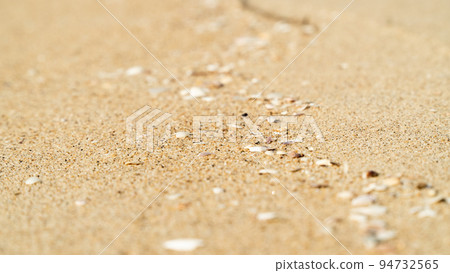 Fine sand with grains of shells close-up Fine sand with grains of shells close-up 94732565
