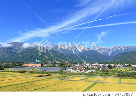 Autumn of Hakuba Golden rice fields and the Northern Alps 94733097