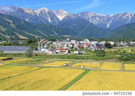 Autumn of Hakuba Golden rice fields and the Northern Alps 94733198