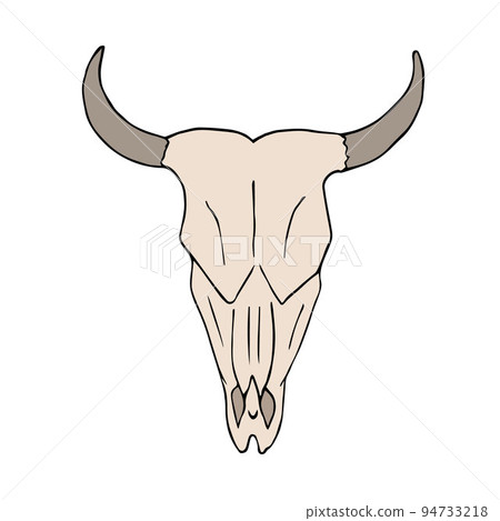 Vector hand drawn cow bull skull Vector hand drawn cow bull skull 94733218