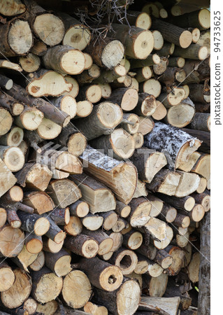 firewood, timber, tree, firewood, lumber, cutting, cross section, square timber, log, lumber, fuel, tree, nature, wood grain firewood, timber, tree, firewood, lumber, cutting, cross section, square timber, log, lumber, fuel, tree, nature, wood grain 94733625