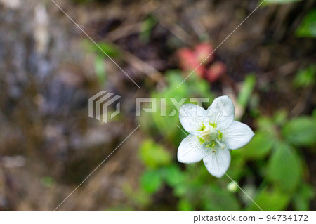 Umebachissau Umebachissau 94734172