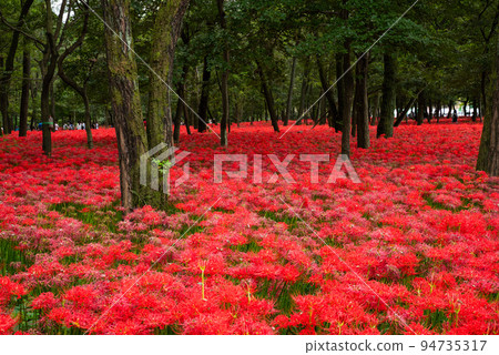 Nazutsuda Yusu Sasha Festival 94735317