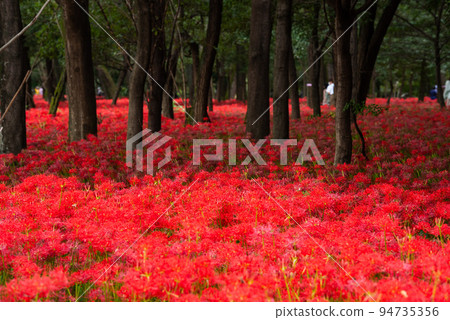 Nazutsuda Yusu Sasha Festival Nazutsuda Yusu Sasha Festival 94735356