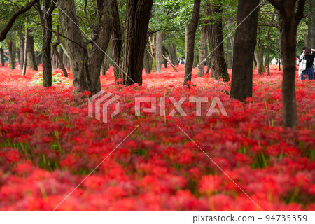 Nazutsuda Yusu Sasha Festival Nazutsuda Yusu Sasha Festival 94735359