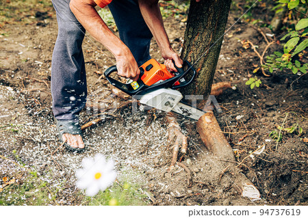 Cropped shot of man cutting tree with chainsaw. Landscaping and garden or forest work concept. Male person removing excavated stump roots using electric power equipment 94737619