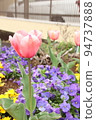 flower bed  94737888