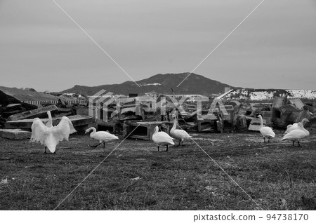 陸前高田市岩手縣三陸地震3.11 陸前高田市岩手縣三陸地震3.11 94738170