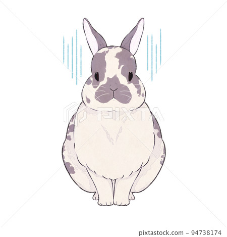Ash rabbit broken expression (sorrow) Ash rabbit broken expression (sorrow) 94738174