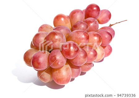 葡萄科托比 94739336