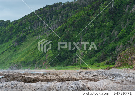 coastal landscape, beautiful wooded rocks on the green coast of Kunashir island coastal landscape, beautiful wooded rocks on the green coast of Kunashir island 94739771