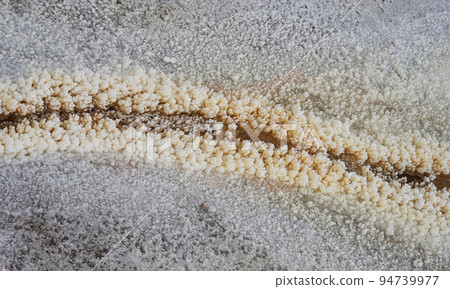 Earth covered with crystallized potash salt 94739977