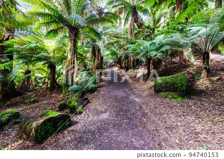 St Columba Falls in Tasmania Australia 94740153