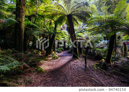 St Columba Falls in Tasmania Australia St Columba Falls in Tasmania Australia 94740158