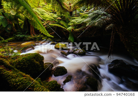 St Columba Falls in Tasmania Australia 94740168