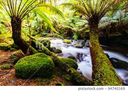 St Columba Falls in Tasmania Australia St Columba Falls in Tasmania Australia 94740169