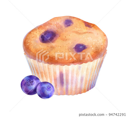 Vector watercolor illustration of Blueberry Muffin Vector watercolor illustration of Blueberry Muffin 94742291