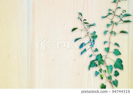 wood grain background and green wood grain background and green 94744319