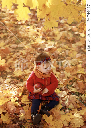 A cute little one-year-old baby girl in a knitted sweater is sitting under a yellow maple tree on a warm autumn day holding big red apple in hand 94744417