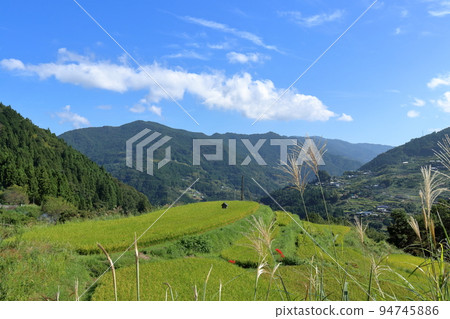 Yatsune terraced rice fields Autumn sky (Otoyo Town, Kochi Prefecture) 94745886