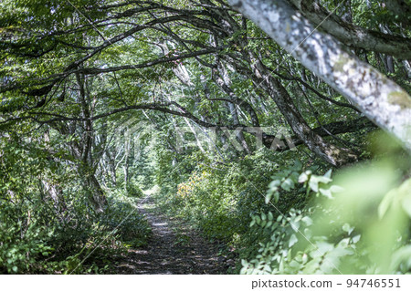 橫手路小山 橫手路小山 94746551