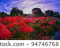 Red spider lily and rays of light 94746768