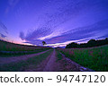 Road with red buckwheat flowers on both sides 94747120