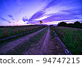Road where red buckwheat blooms 94747215